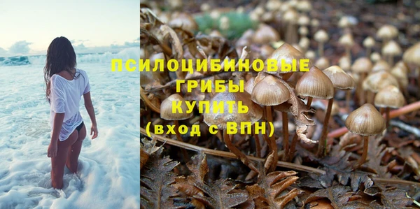 хмурый Россошь