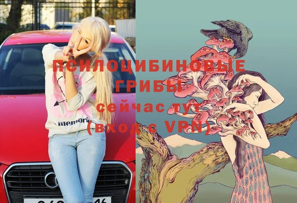 хмурый Россошь