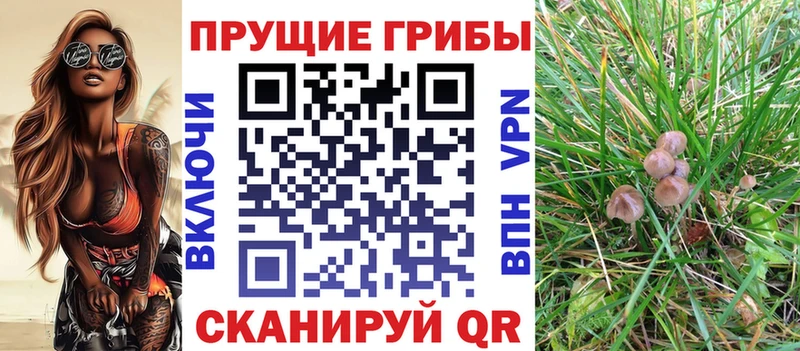 Галлюциногенные грибы Cubensis  mega ссылки  Липки 